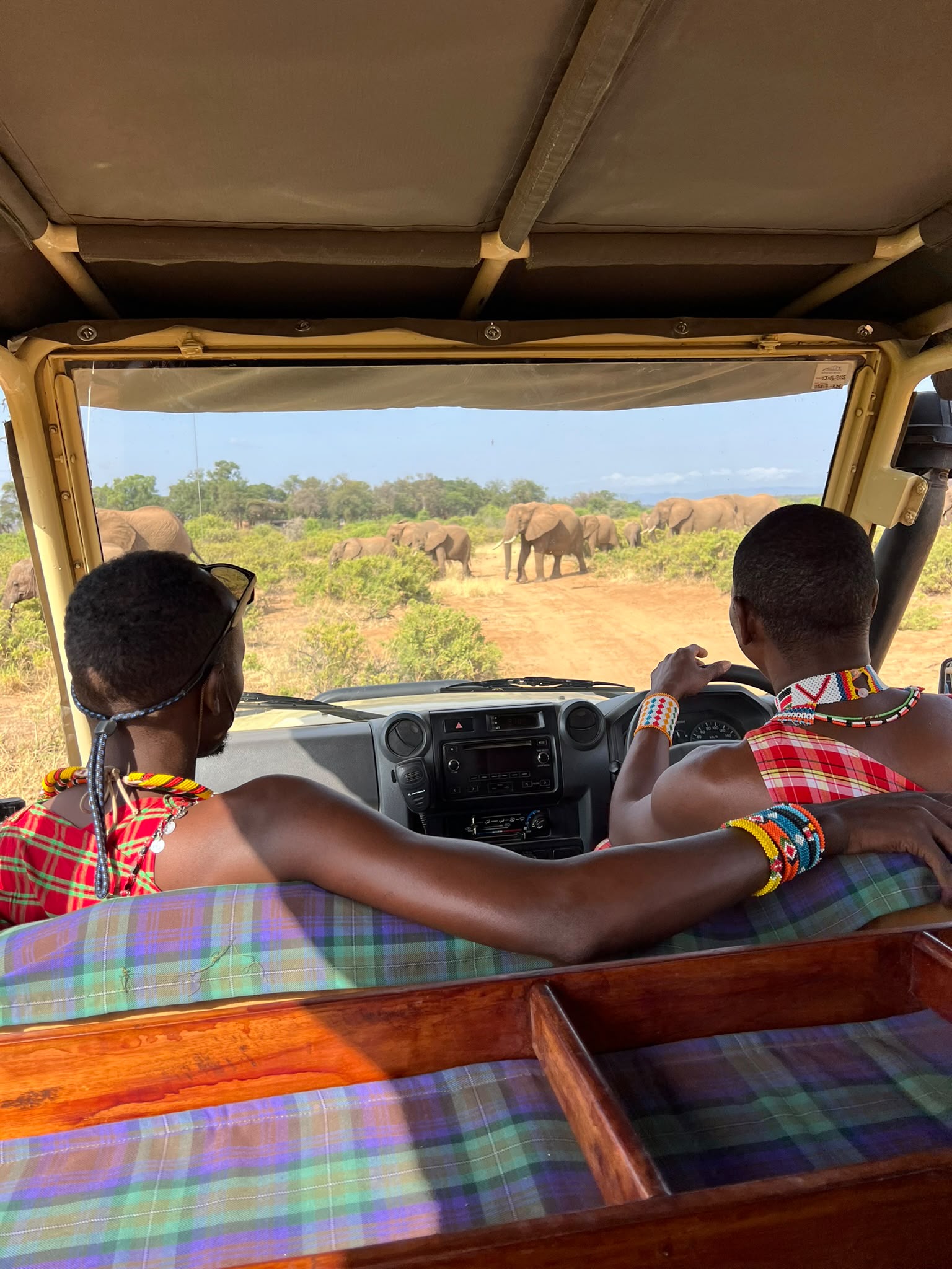 Travellers inside a safari van